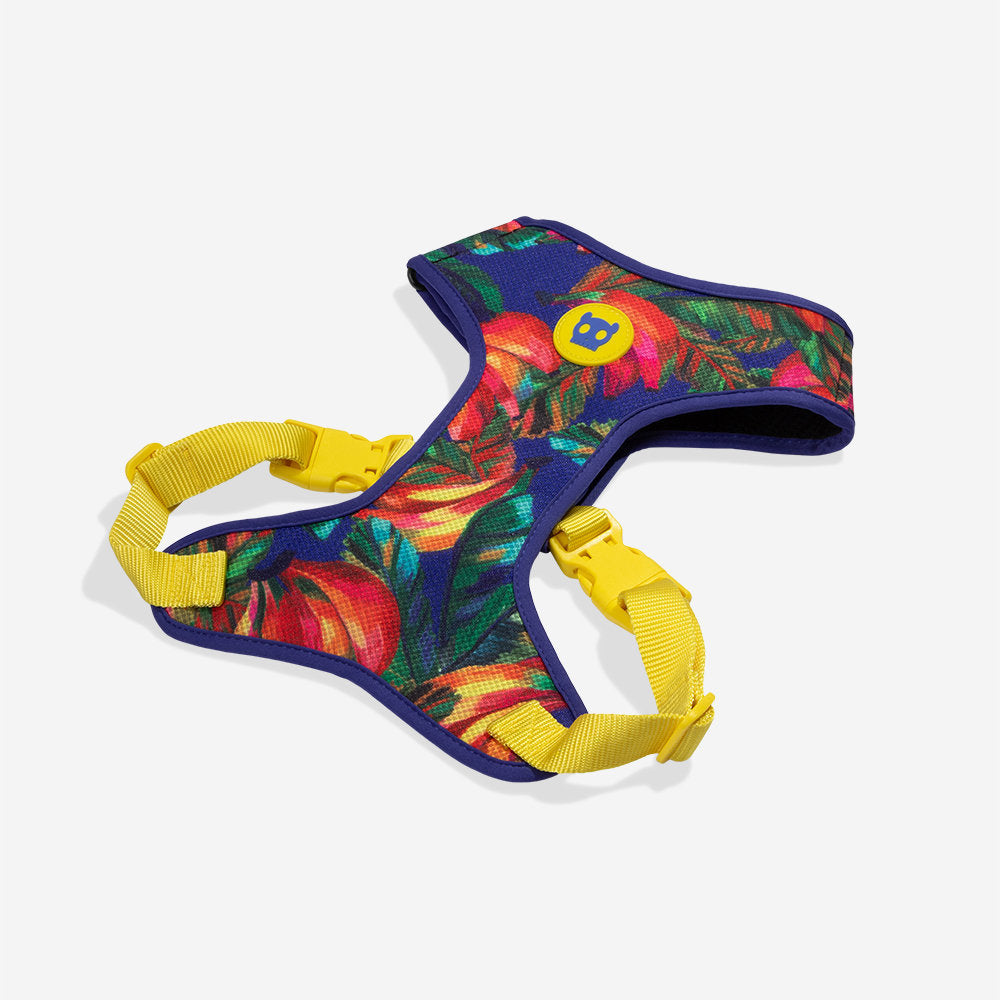 Farm Rio Samba Adjustable Mesh Harness