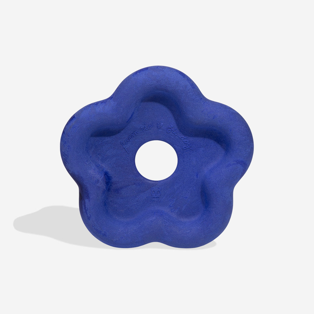 Blue Samba Frisbee