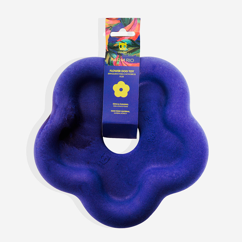Blue Samba Frisbee