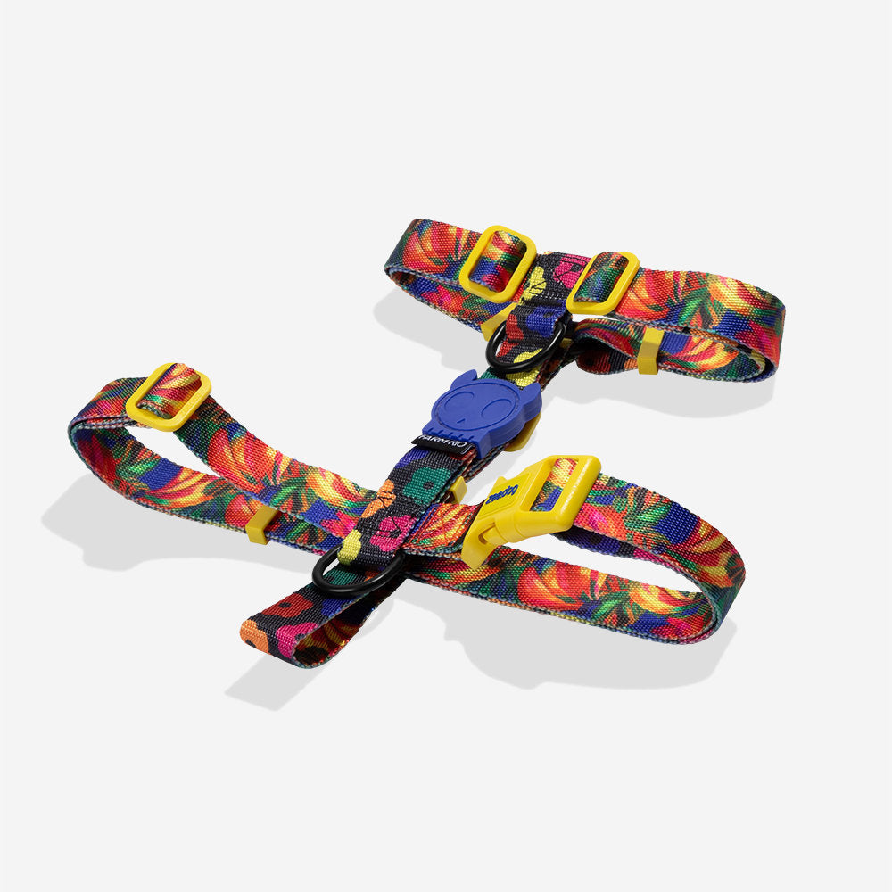Farm Rio Samba H-Harness