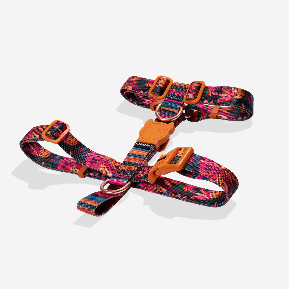 Farm Rio Selva H-Harness