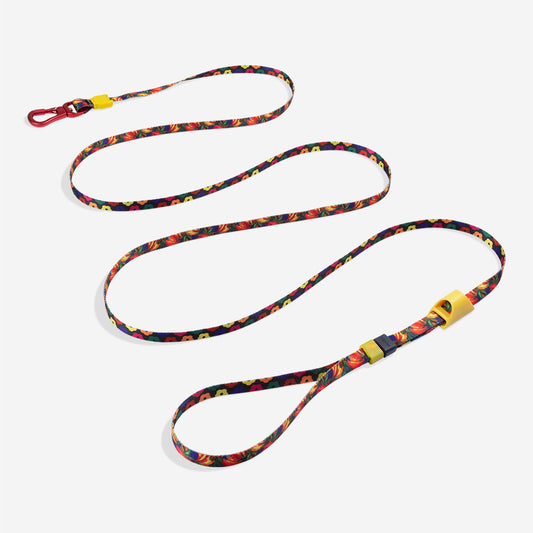 Long leash Farm Rio Samba extendable leash
