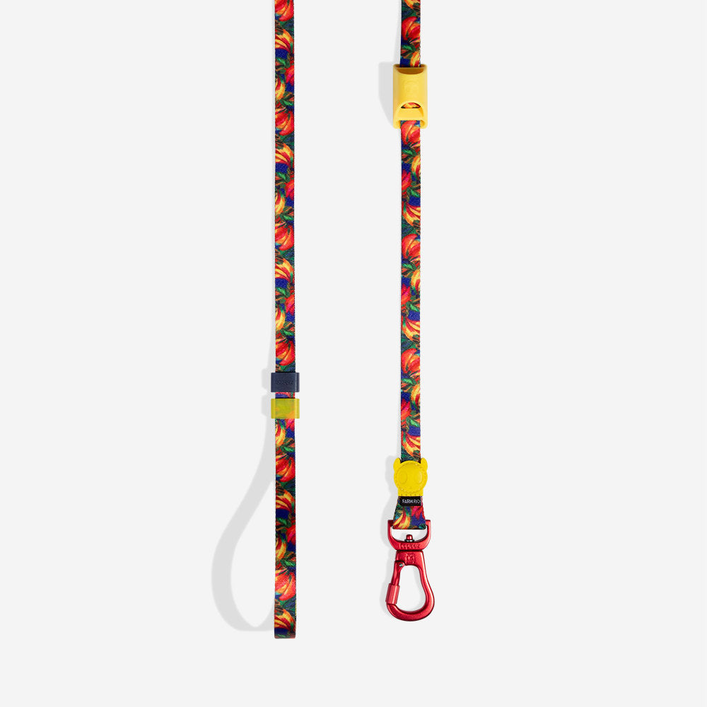 Long leash Farm Rio Samba extendable leash