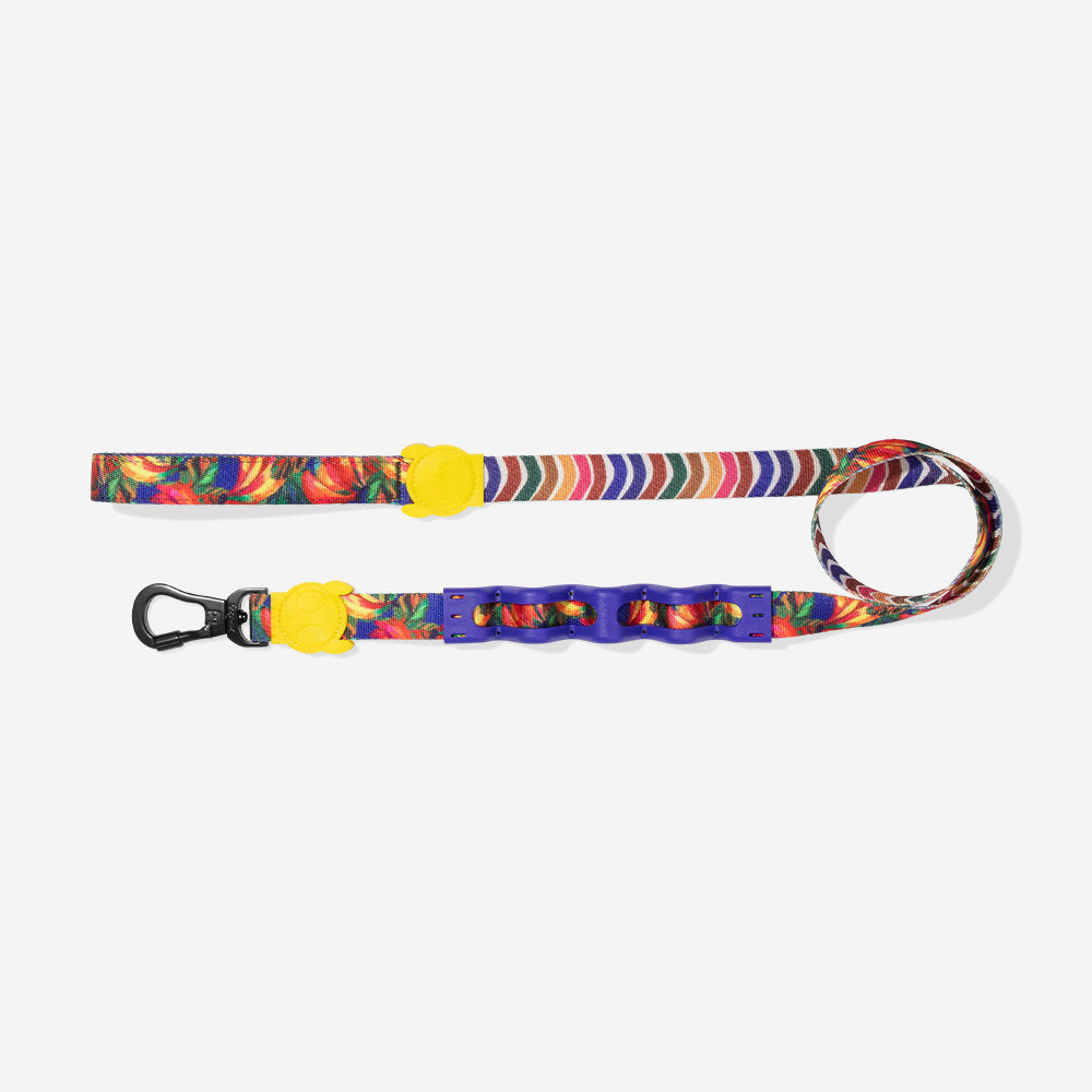 Farm Rio Samba Shock Absorbing  Ruff Leash 2.0