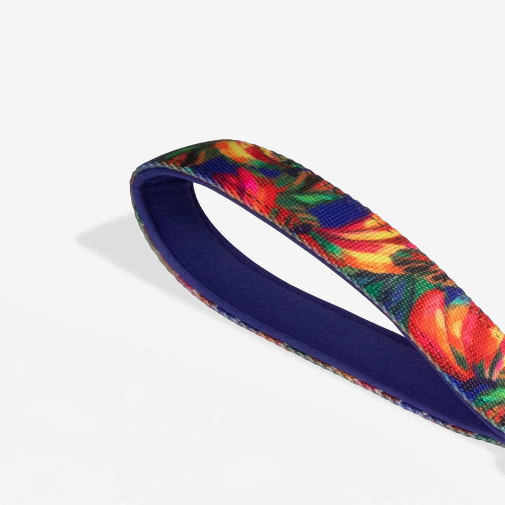 Farm Rio Samba Shock Absorbing  Ruff Leash 2.0