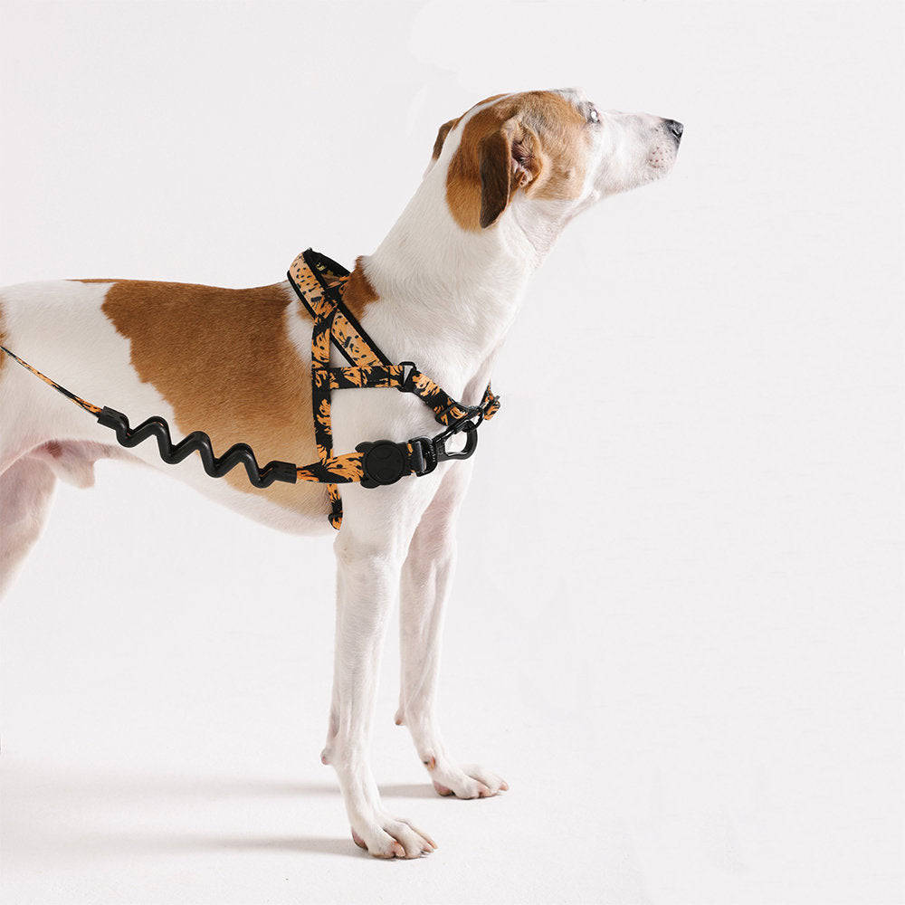Farm Rio Bossa Banana Norwegian Softer-walk Harness