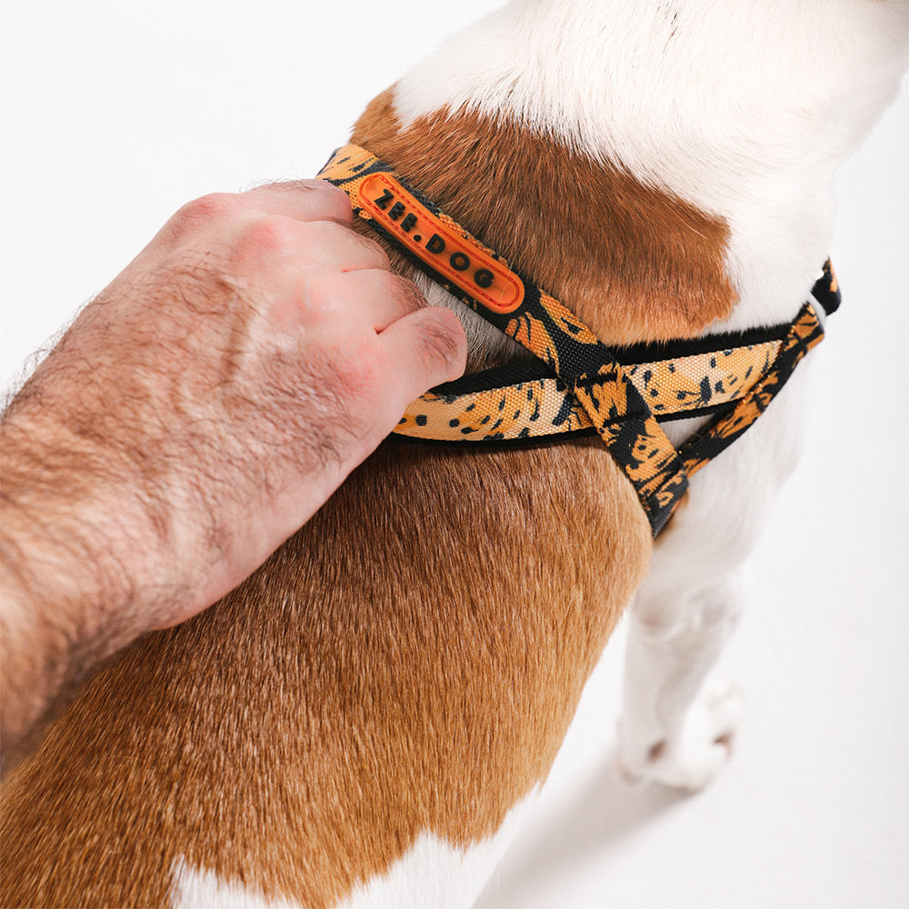Farm Rio Bossa Banana Norwegian Softer-walk Harness