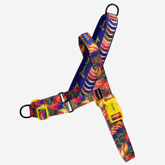 Farm Rio Samba Norwegian Softer-walk Harness