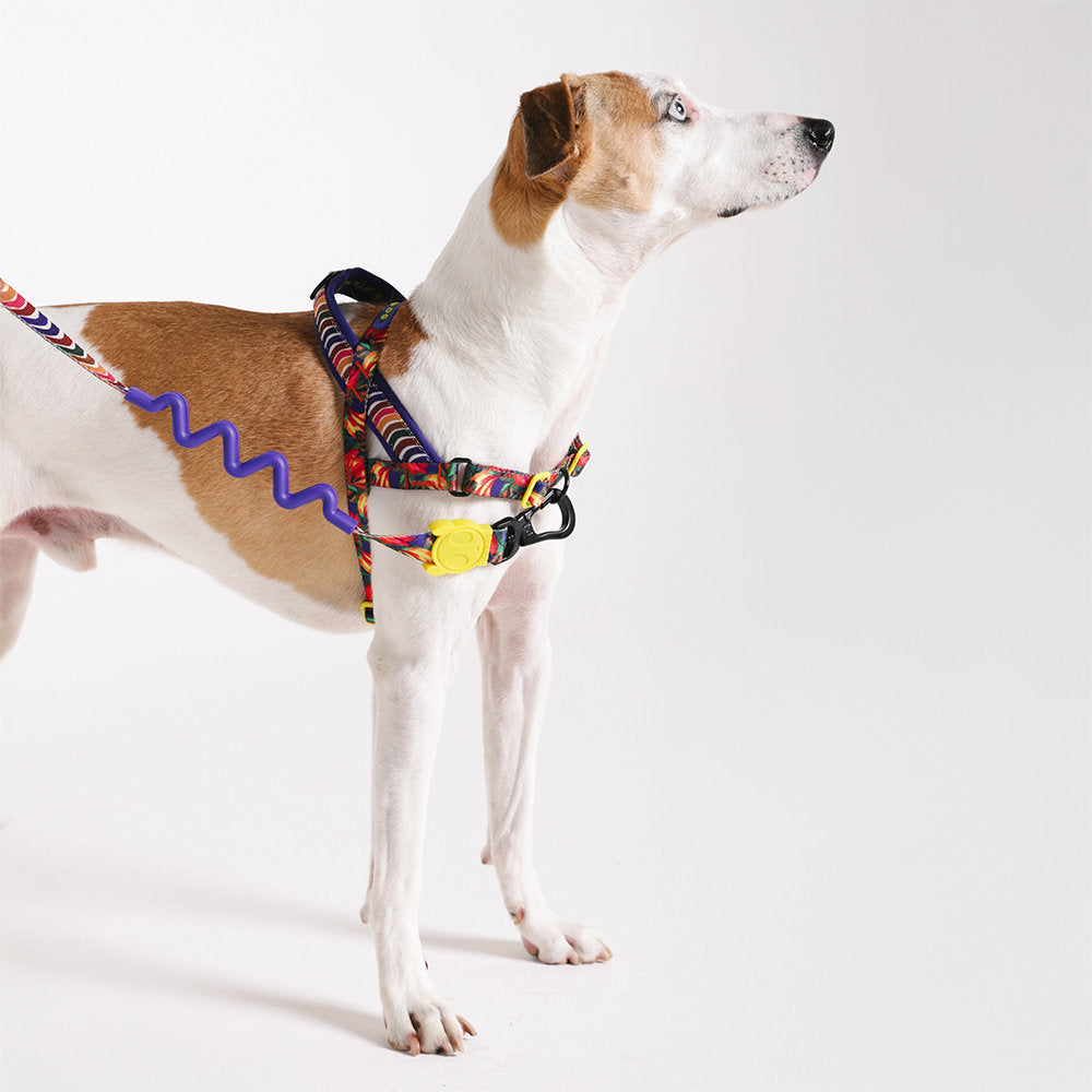 Farm Rio Samba Norwegian Softer-walk Harness