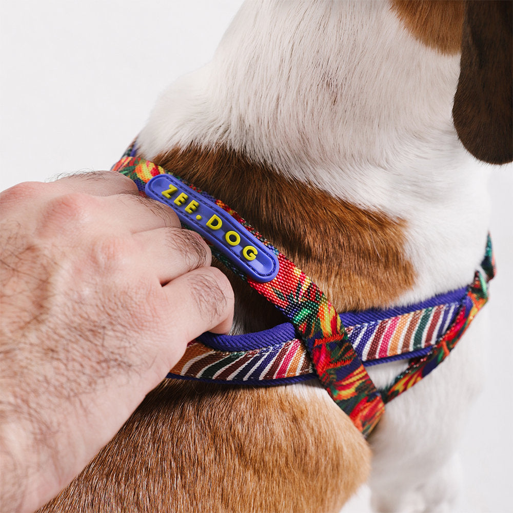 Farm Rio Samba Norwegian Softer-walk Harness