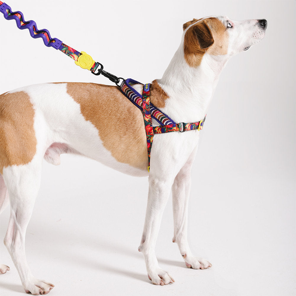 Farm Rio Samba Norwegian Softer-walk Harness