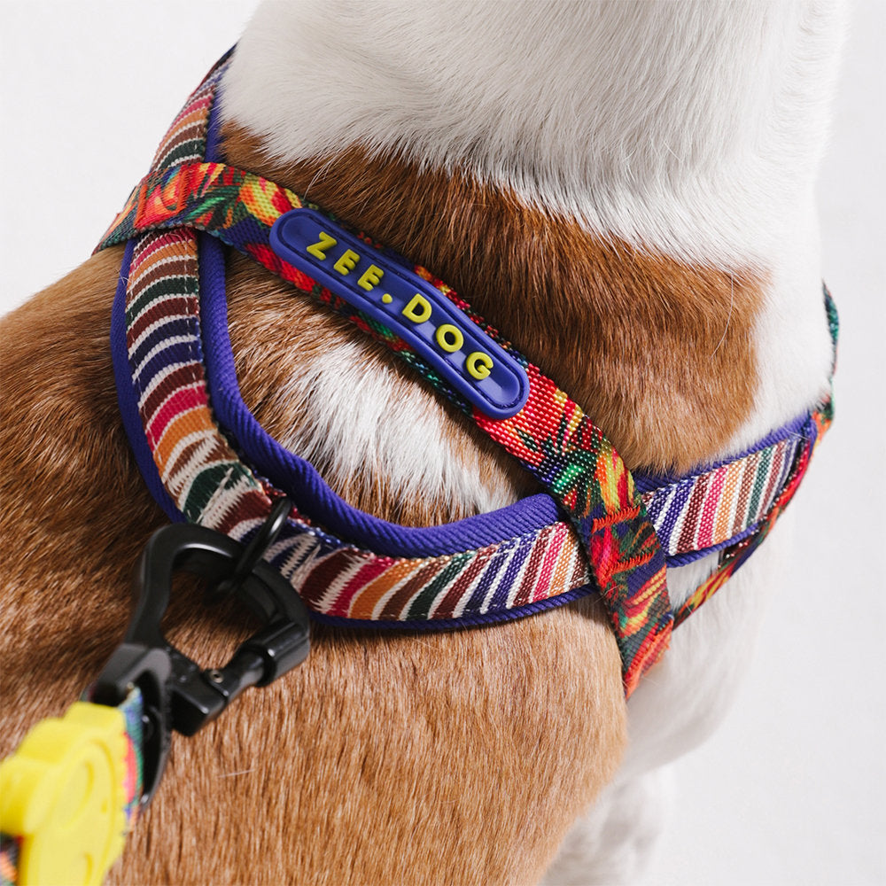 Farm Rio Samba Norwegian Softer-walk Harness