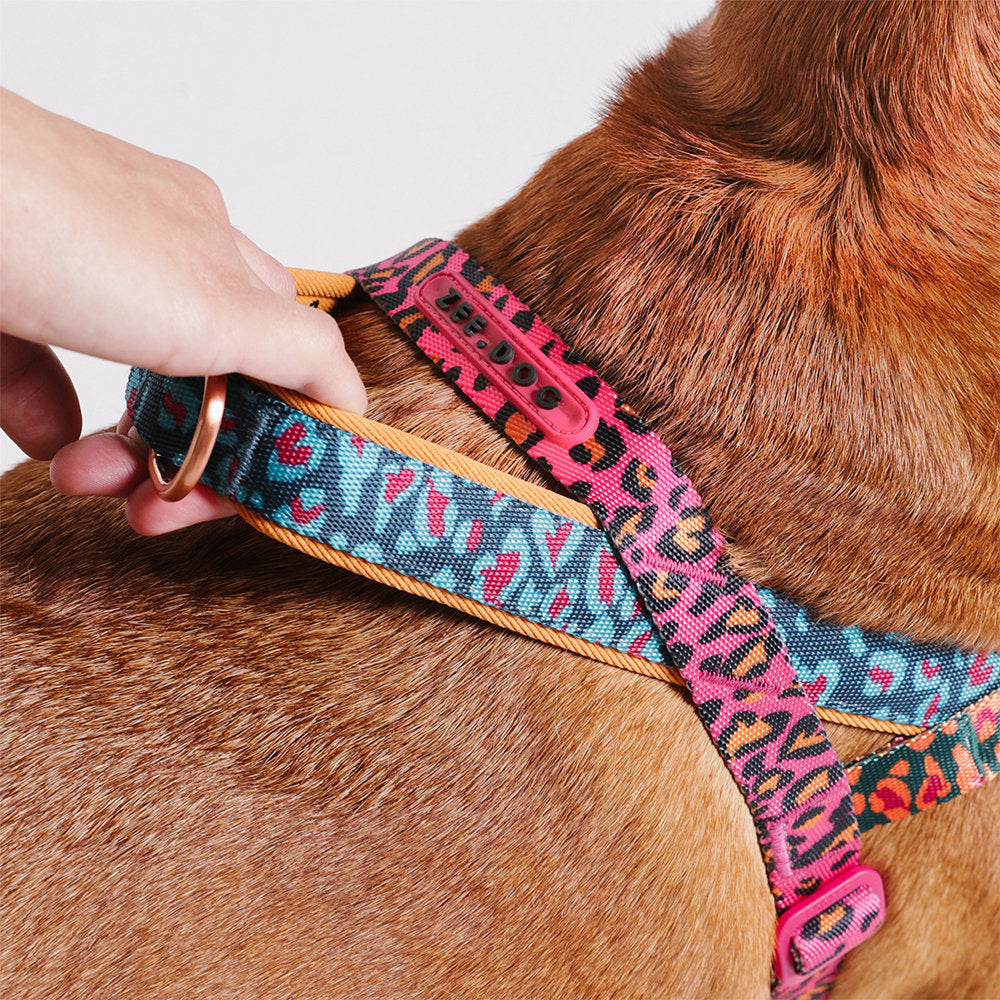 Farm Rio Selva Norwegian Softer-walk Harness