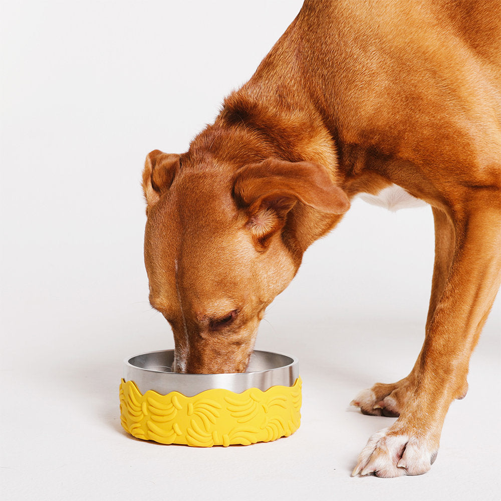 Farm Rio Bossa Banana Tuff Bowl Large