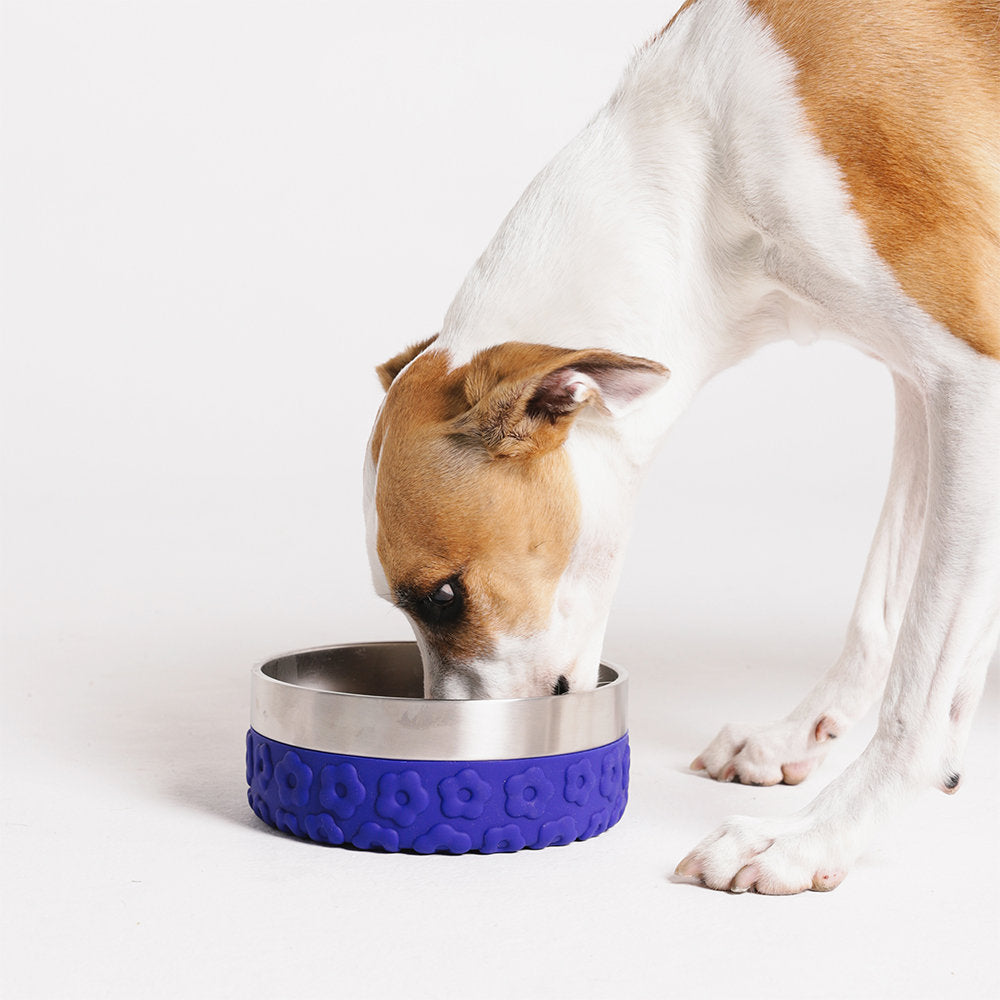 Farm Rio Samba Tuff Bowl