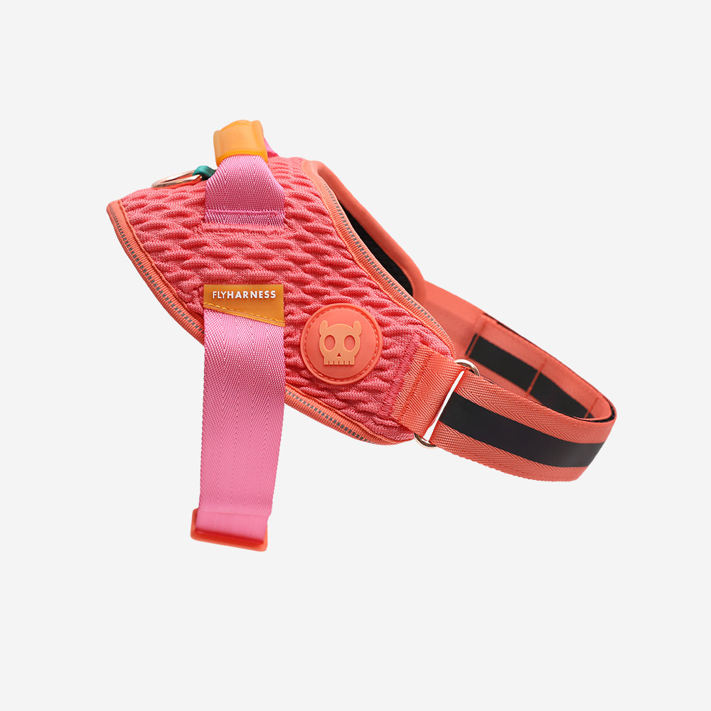 Harness with handle - Flyharness Gazelle