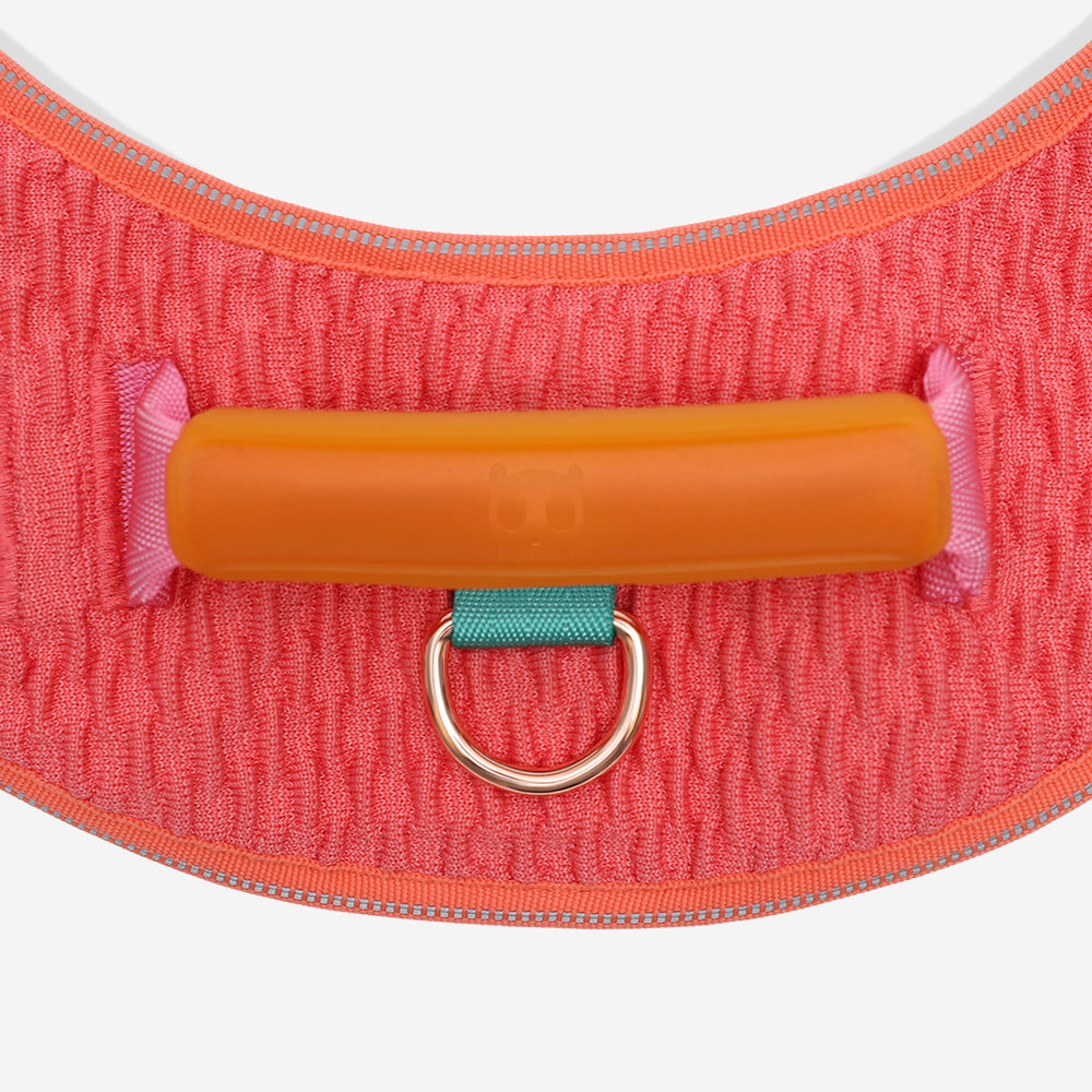 Harness with handle - Flyharness Gazelle