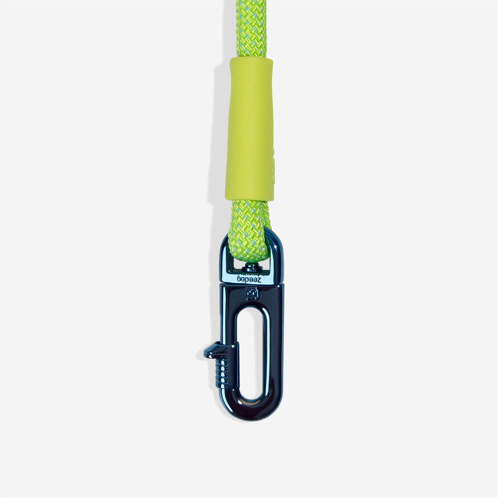 Hands Free Glo Leash - Phosphorescent