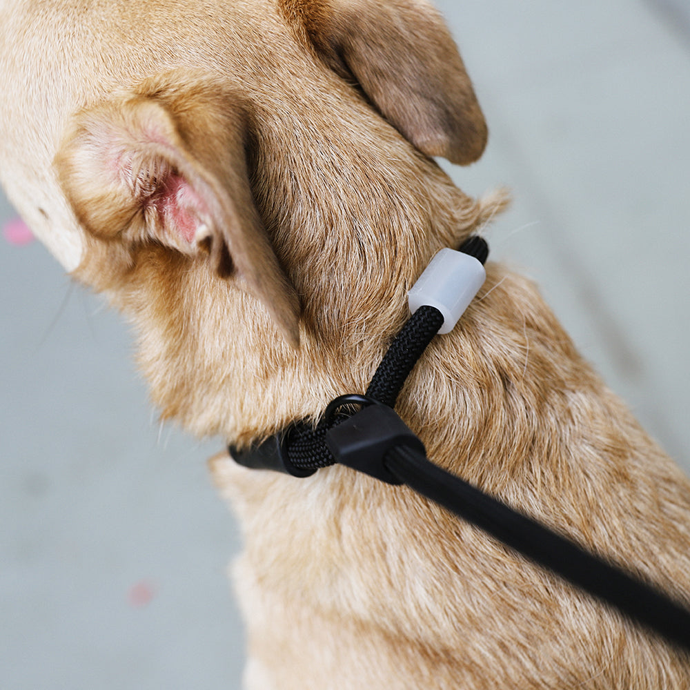 Gotham Slip-N-Lock semi-choke leash