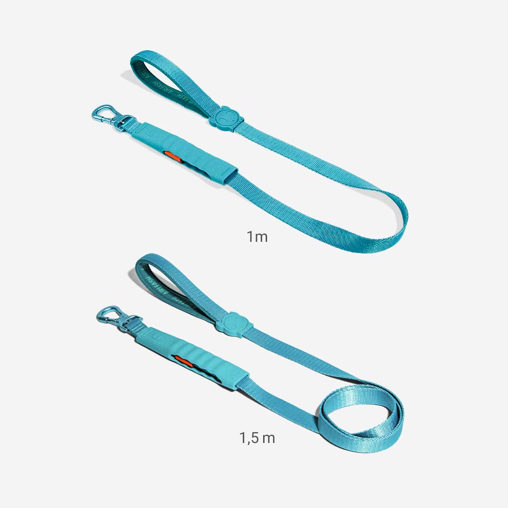 Air-leash Blue Shock Absorbing Leash
