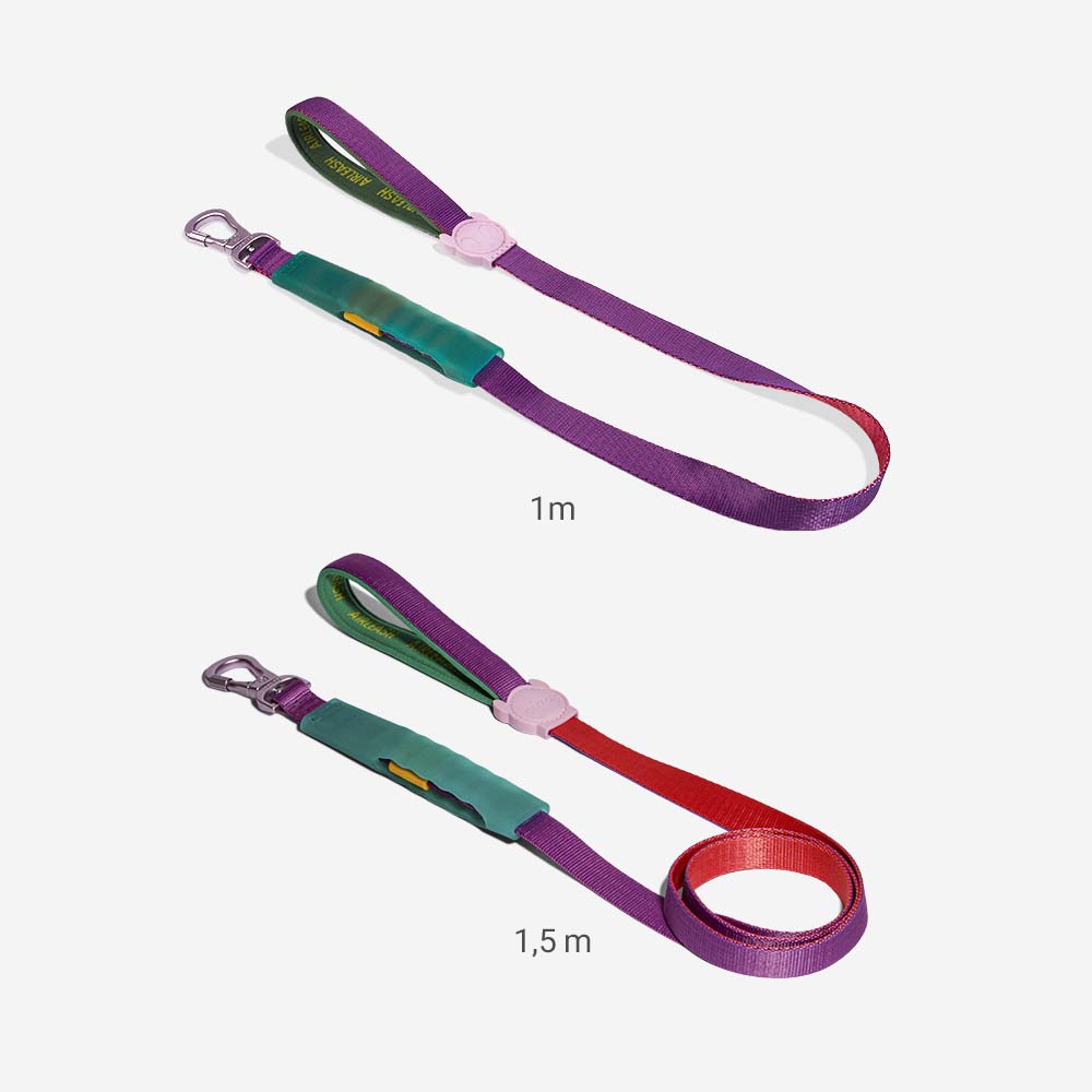 Cali Dos Air-leash shock absorbing leash