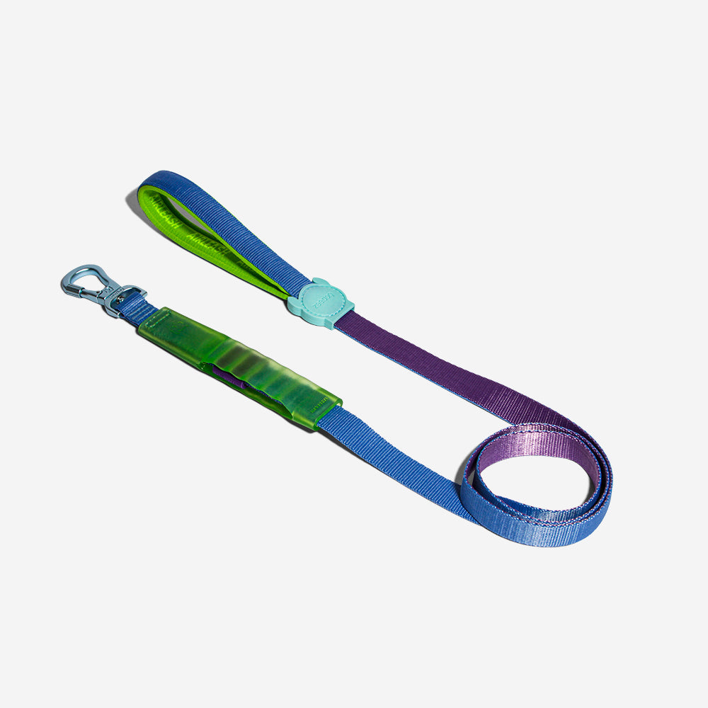 Cali Uno Air-leash Shock Absorbing Leash