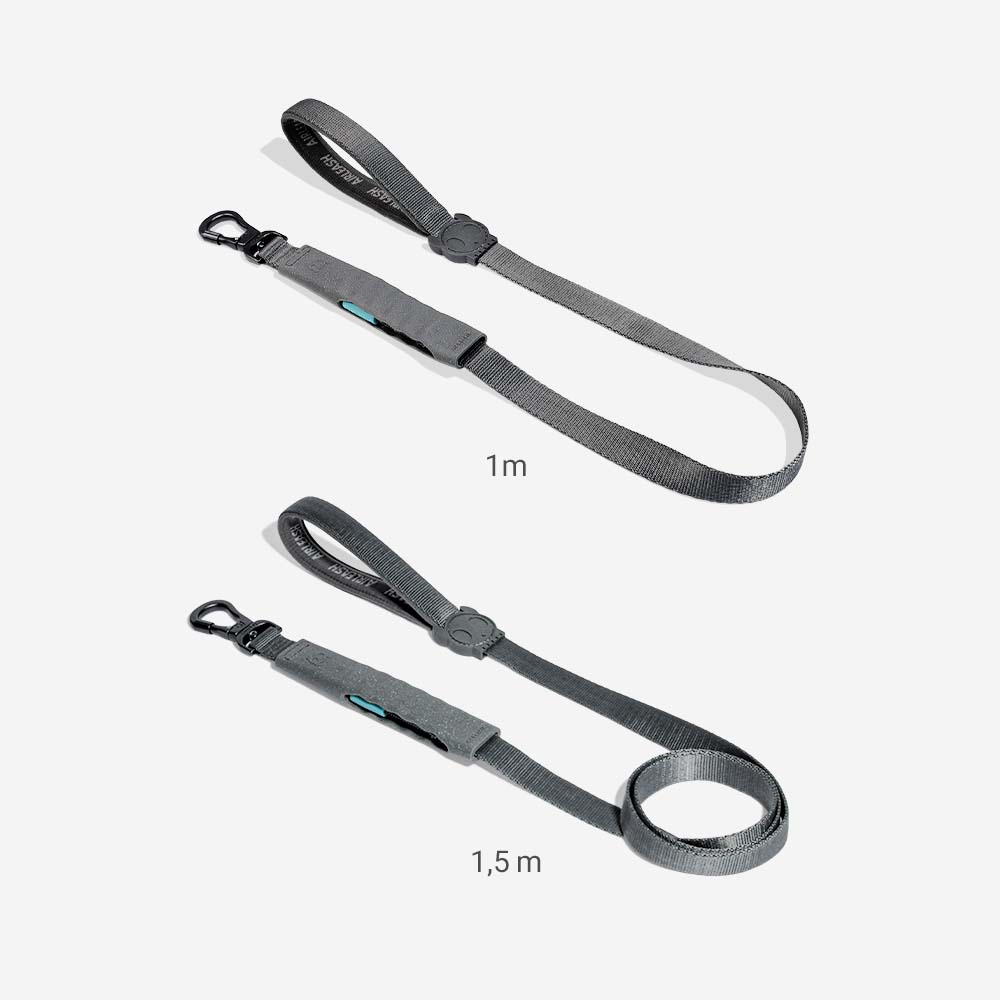 Air-leash Carbon Shock Absorbing Leash