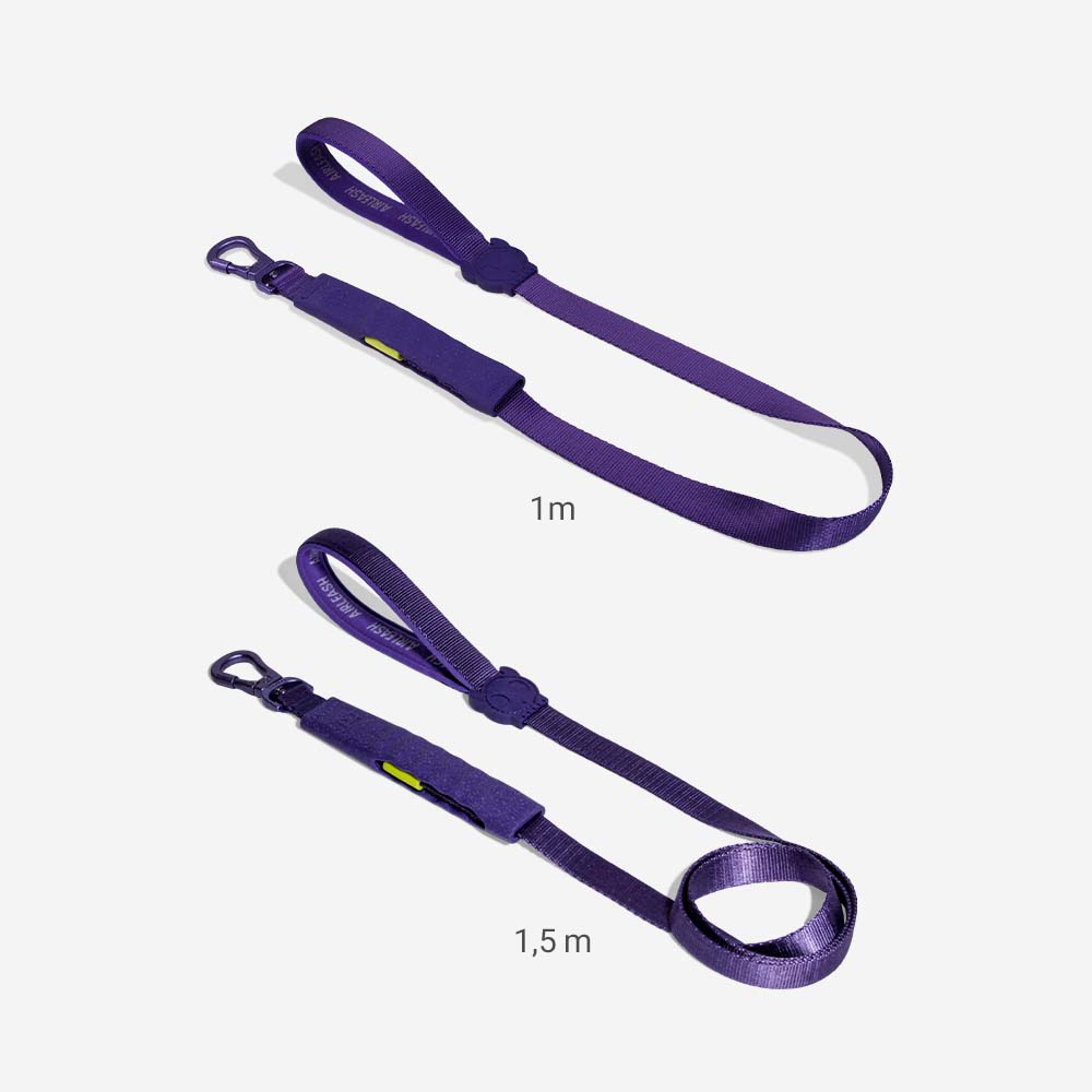 Air-leash Violet Shock Absorbing Leash