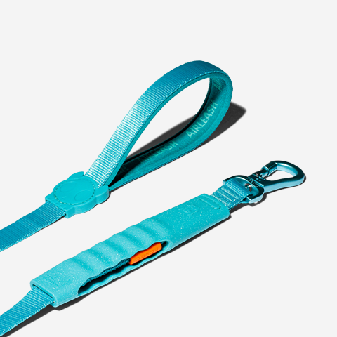 Air-leash Blue Shock Absorbing Leash