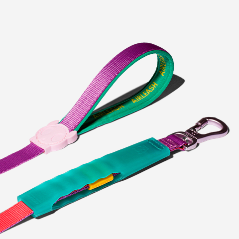Cali Dos Air-leash shock absorbing leash