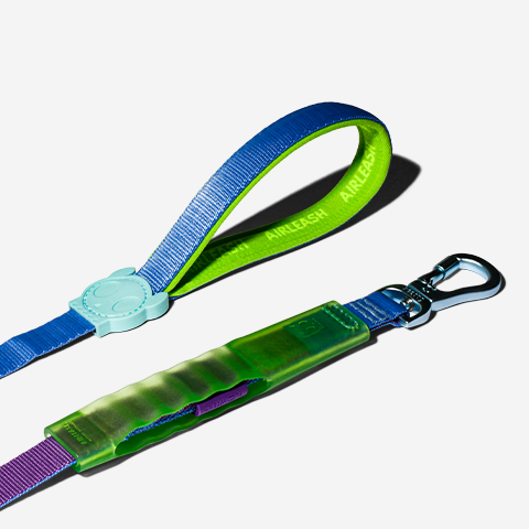 Cali Uno Air-leash Shock Absorbing Leash