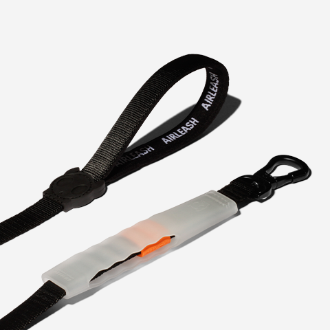 Air-leash Classic Shock Absorbing Leash