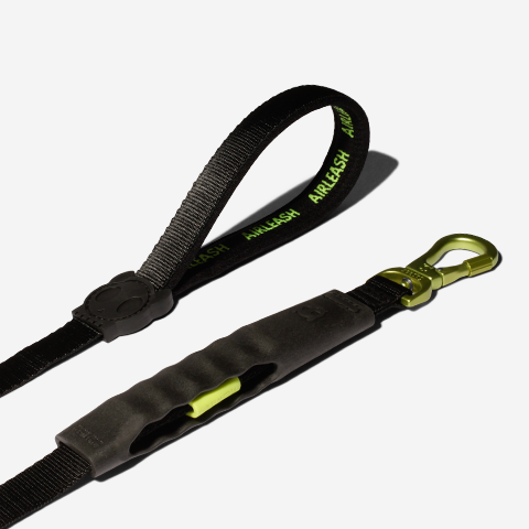 Air-leash Neon Shock Absorbing Leash