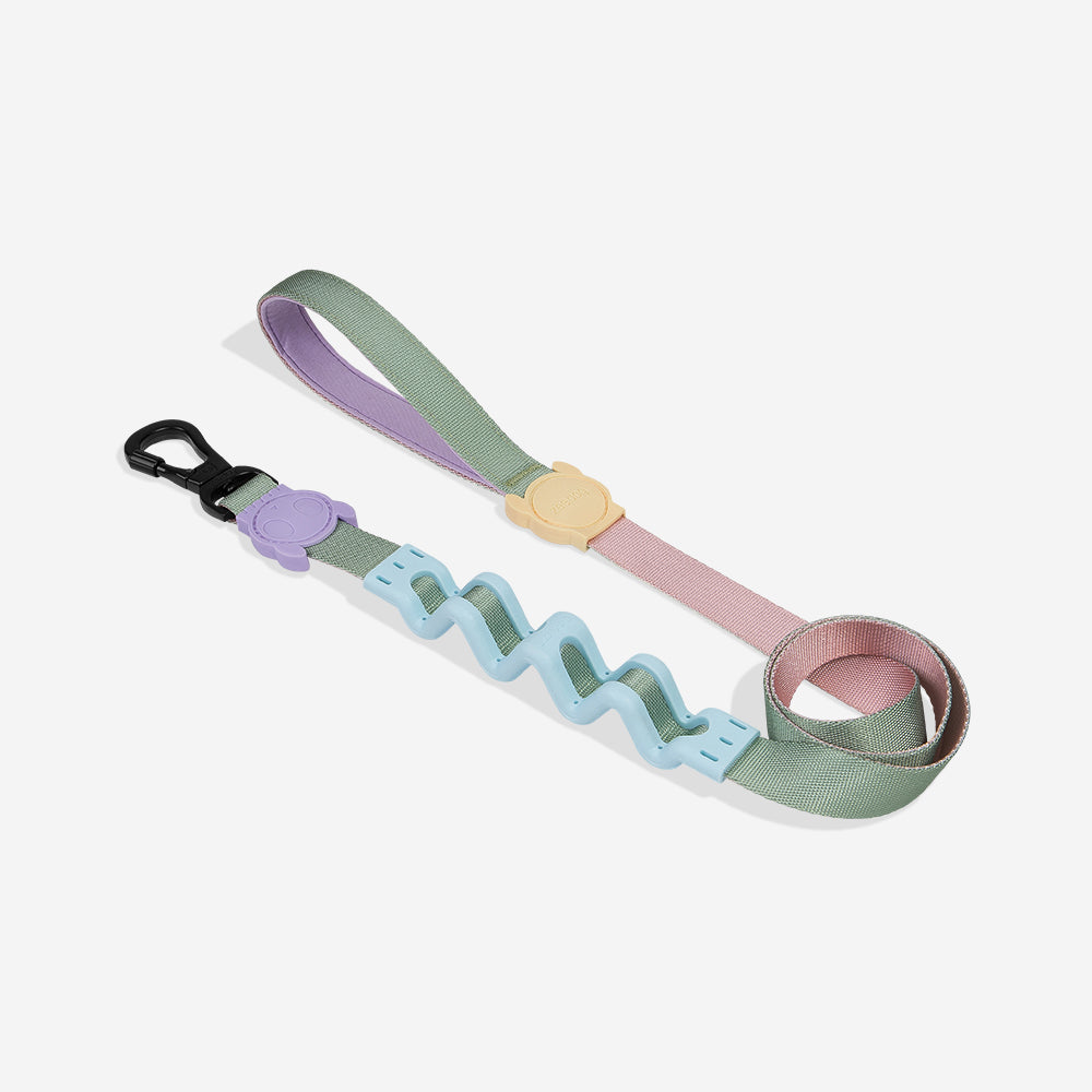 Peach Shock Absorbing  Ruff Leash 2.0