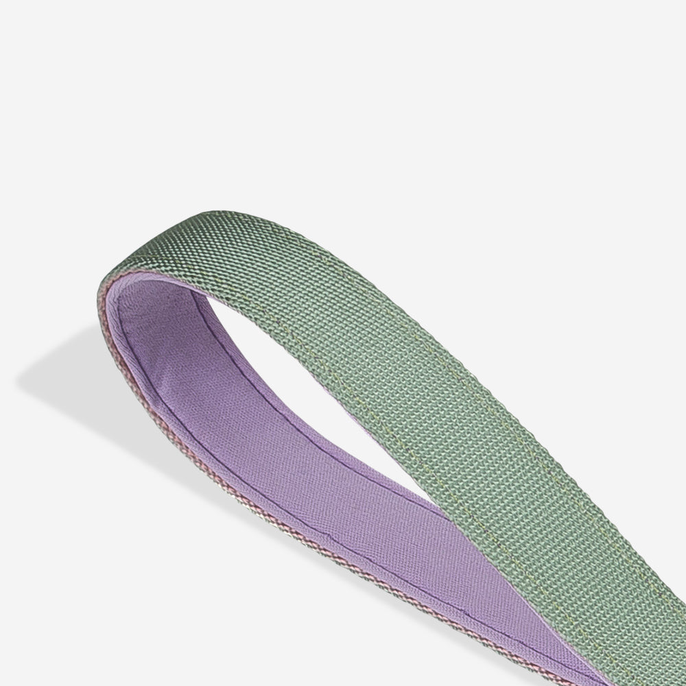 Peach Shock Absorbing  Ruff Leash 2.0