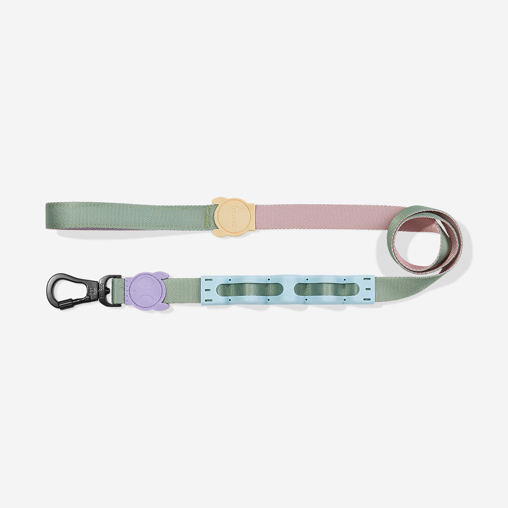Peach Shock Absorbing  Ruff Leash 2.0