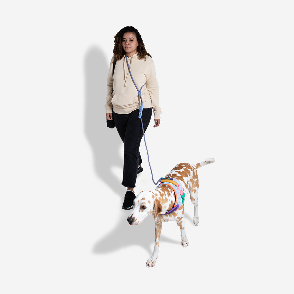 Andromeda Hands Free Leash