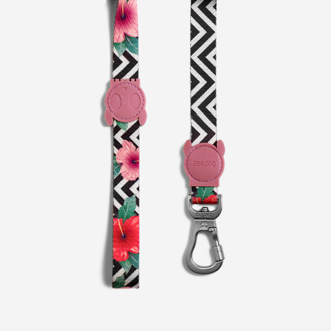 Mahalo Leash