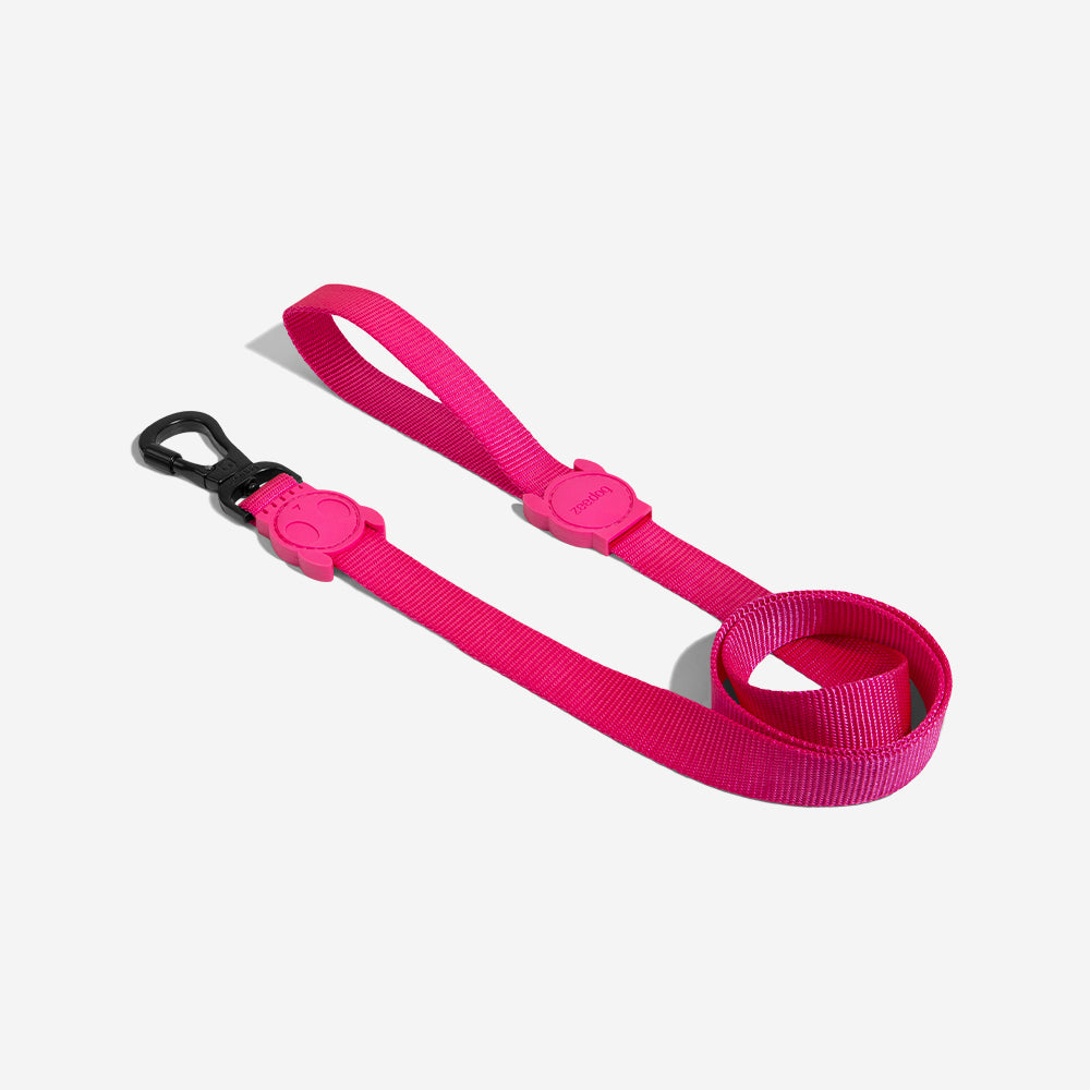 Pink Led Leash