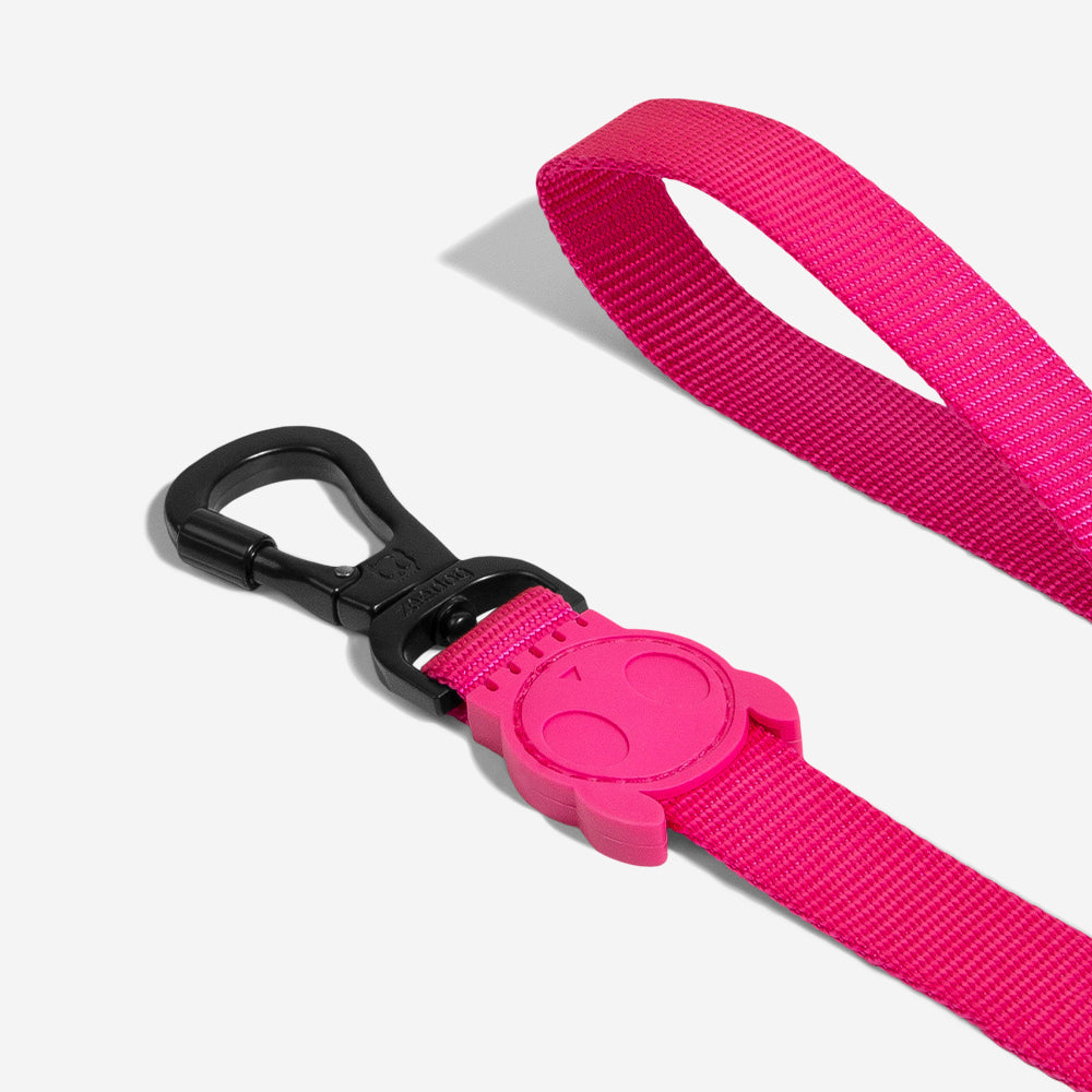 Pink Led Leash