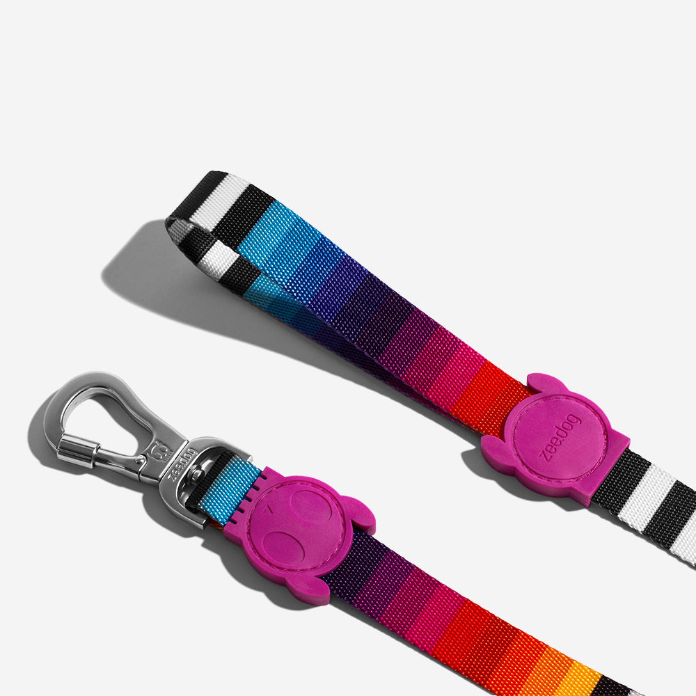 Prism Leash