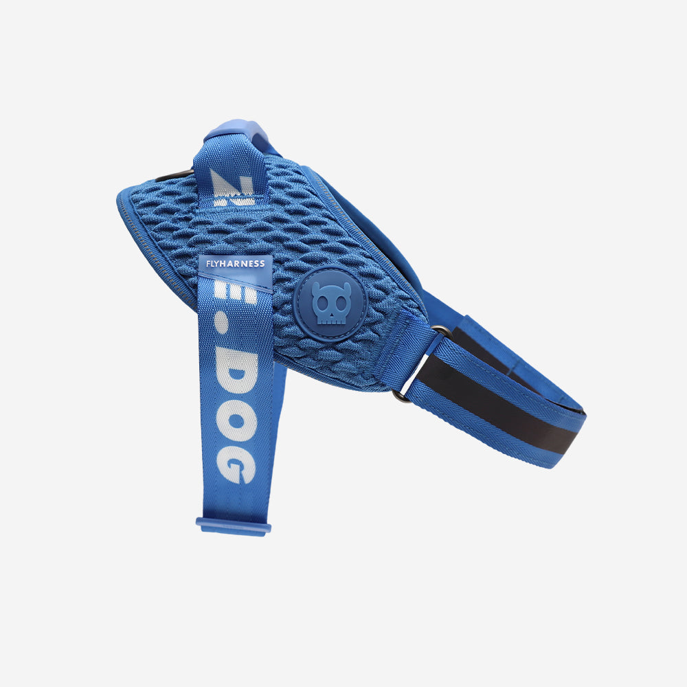 Harness with handle - Flyharness Slam Dunk
