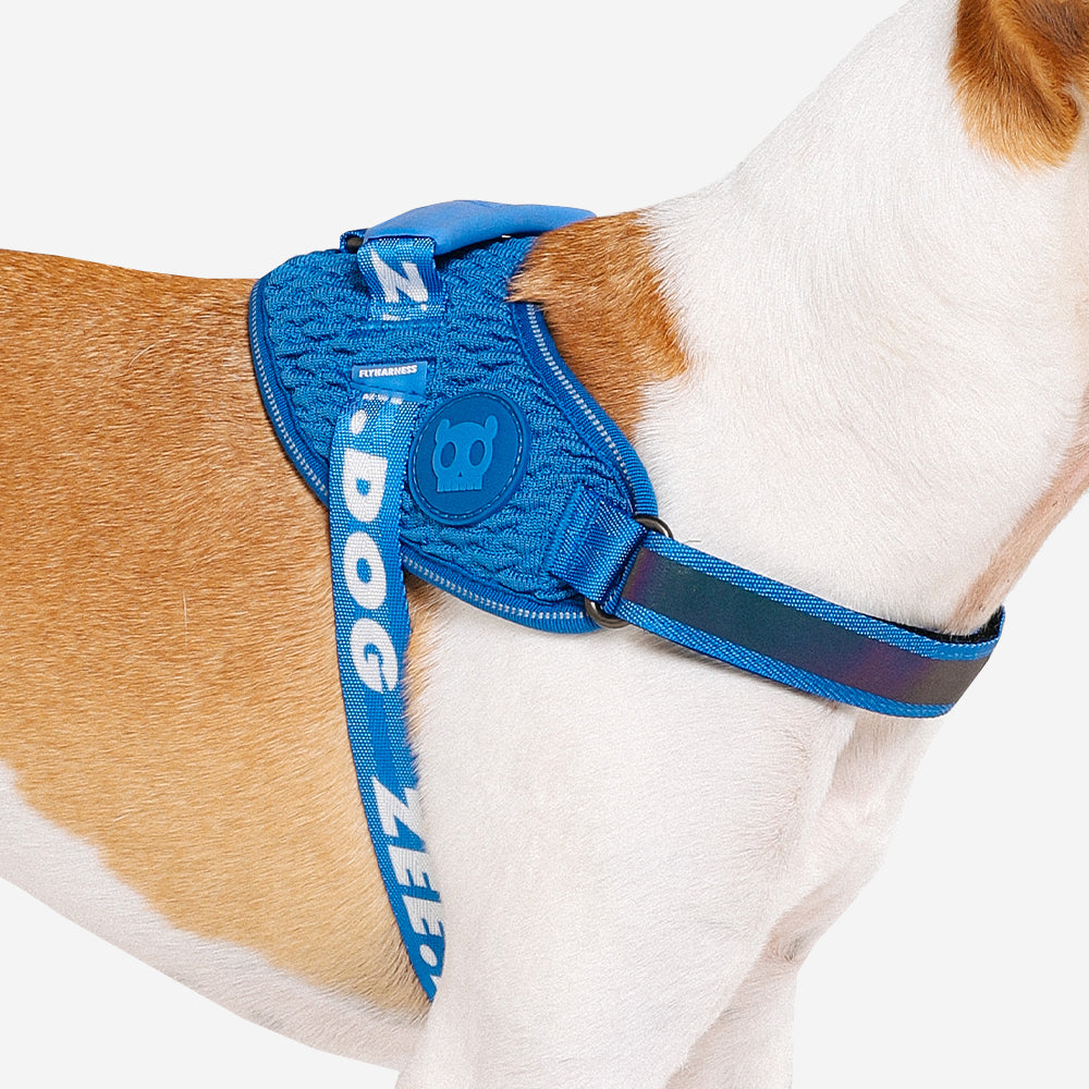 Harness with handle - Flyharness Slam Dunk
