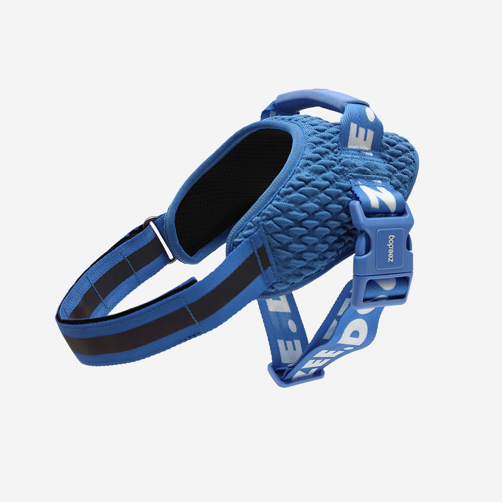 Harness with handle - Flyharness Slam Dunk