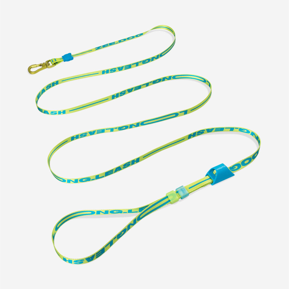 Rayo Long Leash Extendable Leash