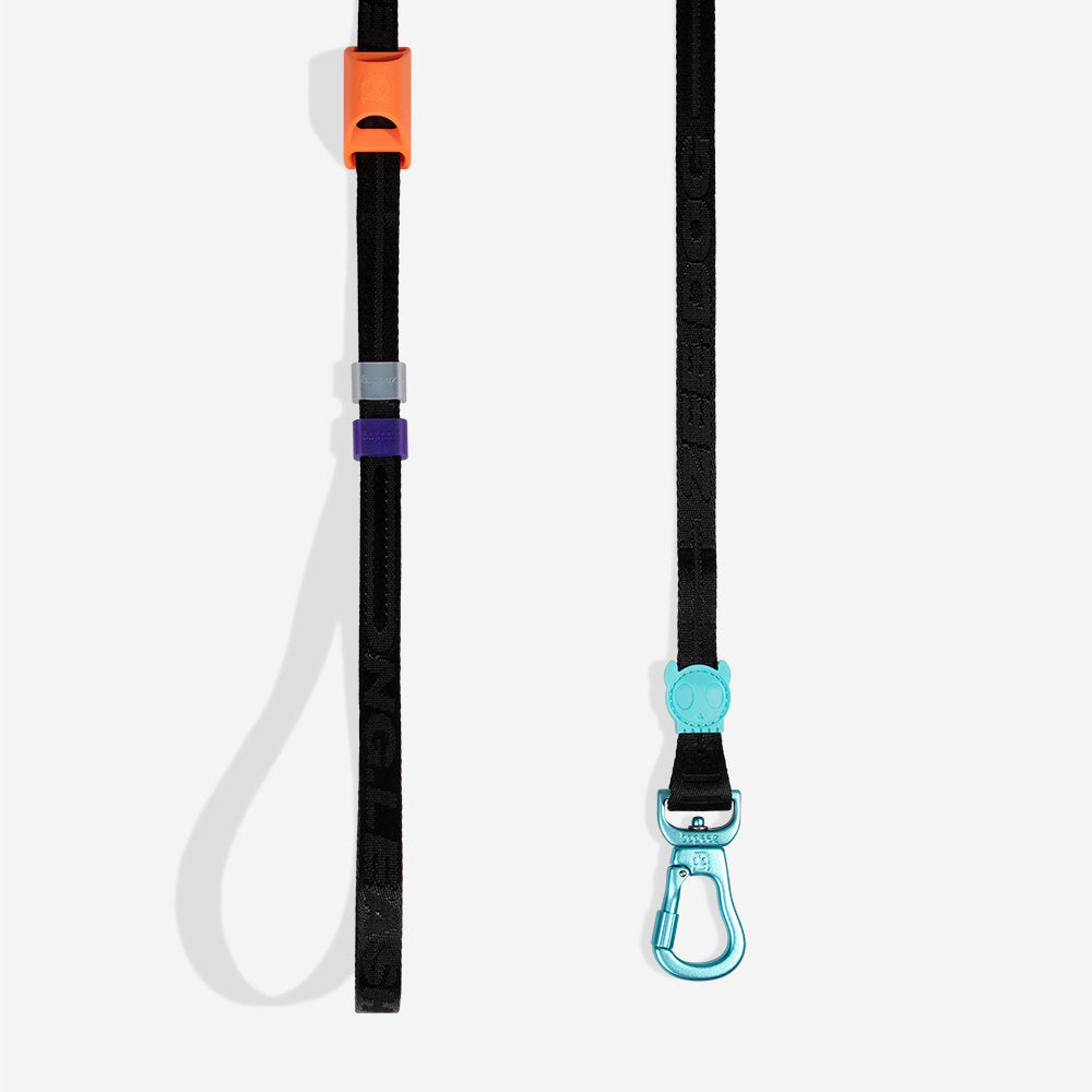 Segundo Long Leash Extendable Leash
