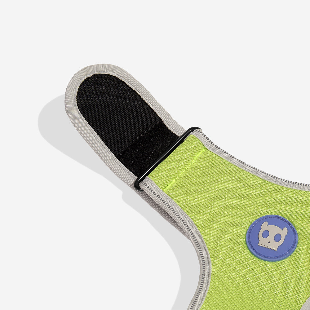 Nox Lumen Adjustable Mesh Harness