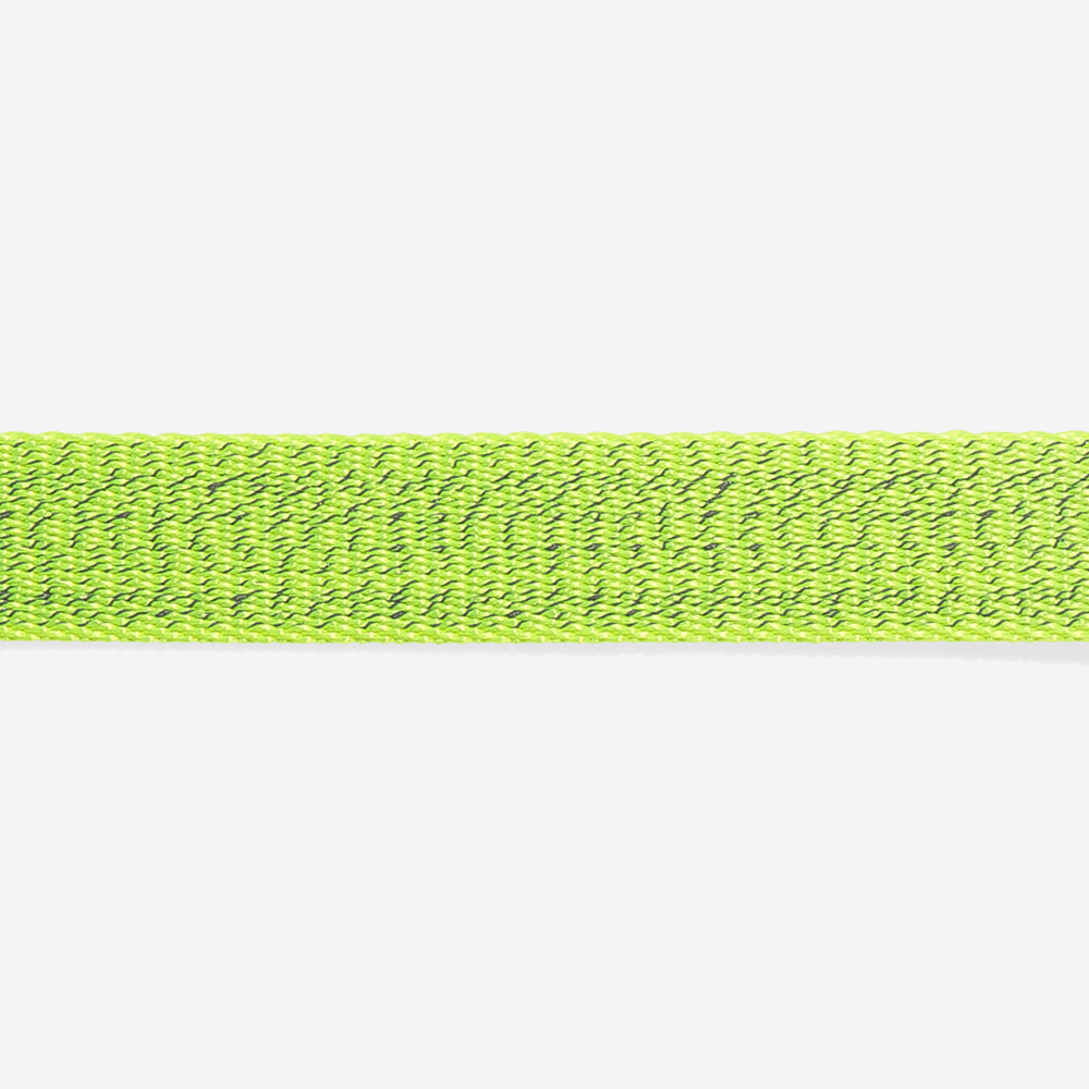 Nox Lumen Collar
