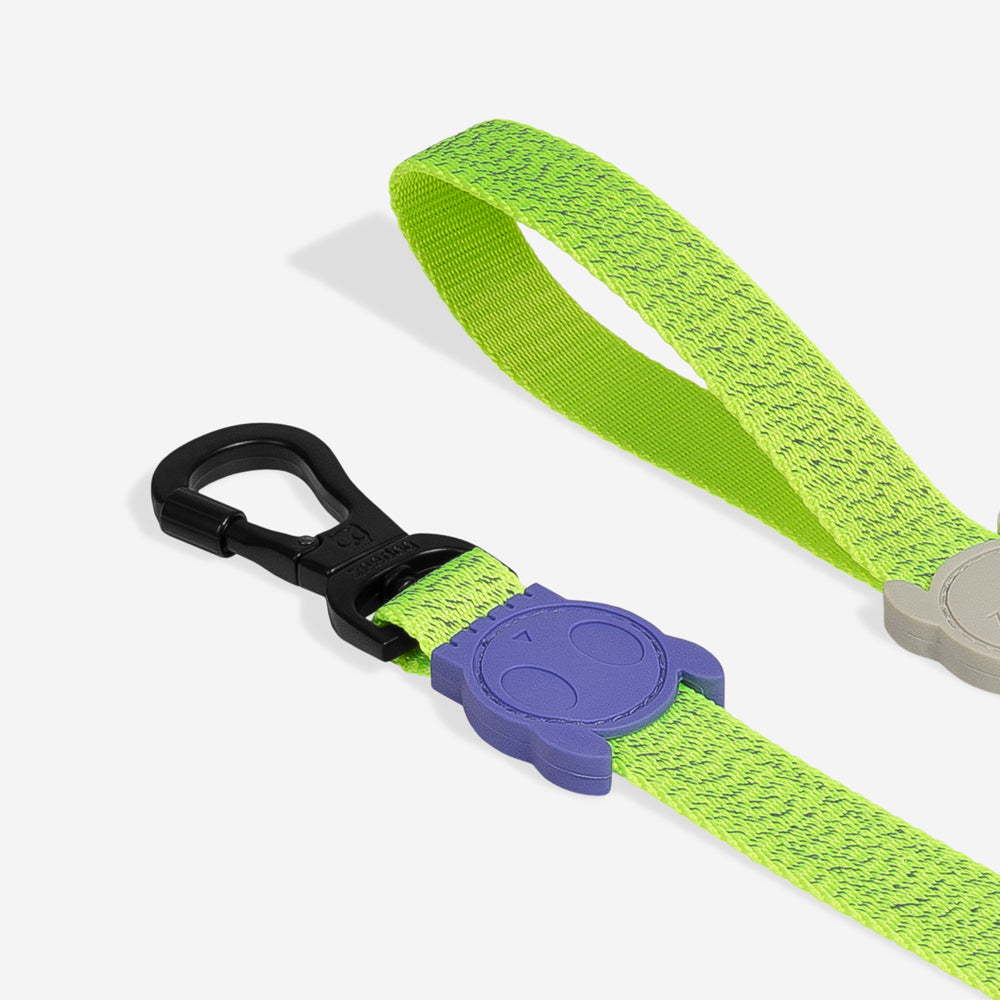 Nox Lumen Leash - with reflective details