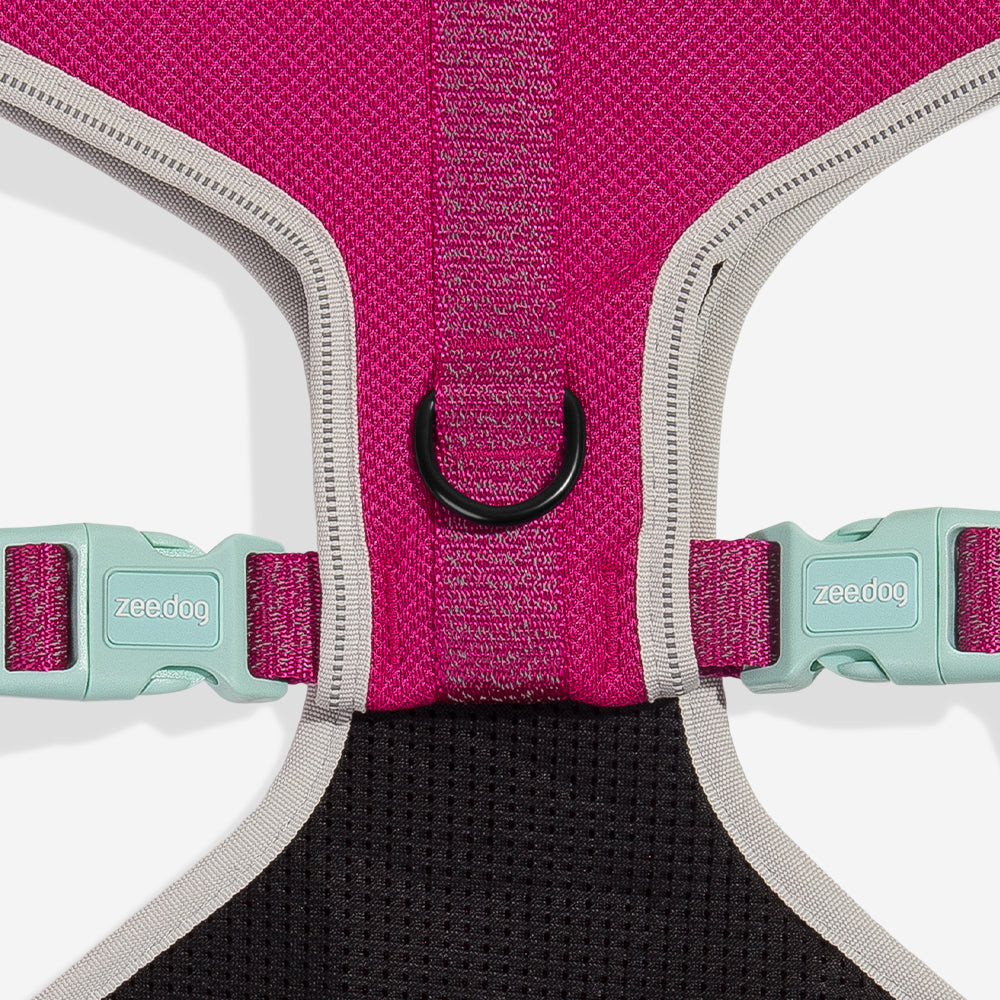 Nox Sidus Adjustable Mesh Harness